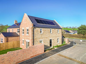 Photo 2- click for photo gallery